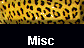  Misc 